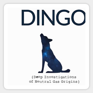 DINGO Magnet